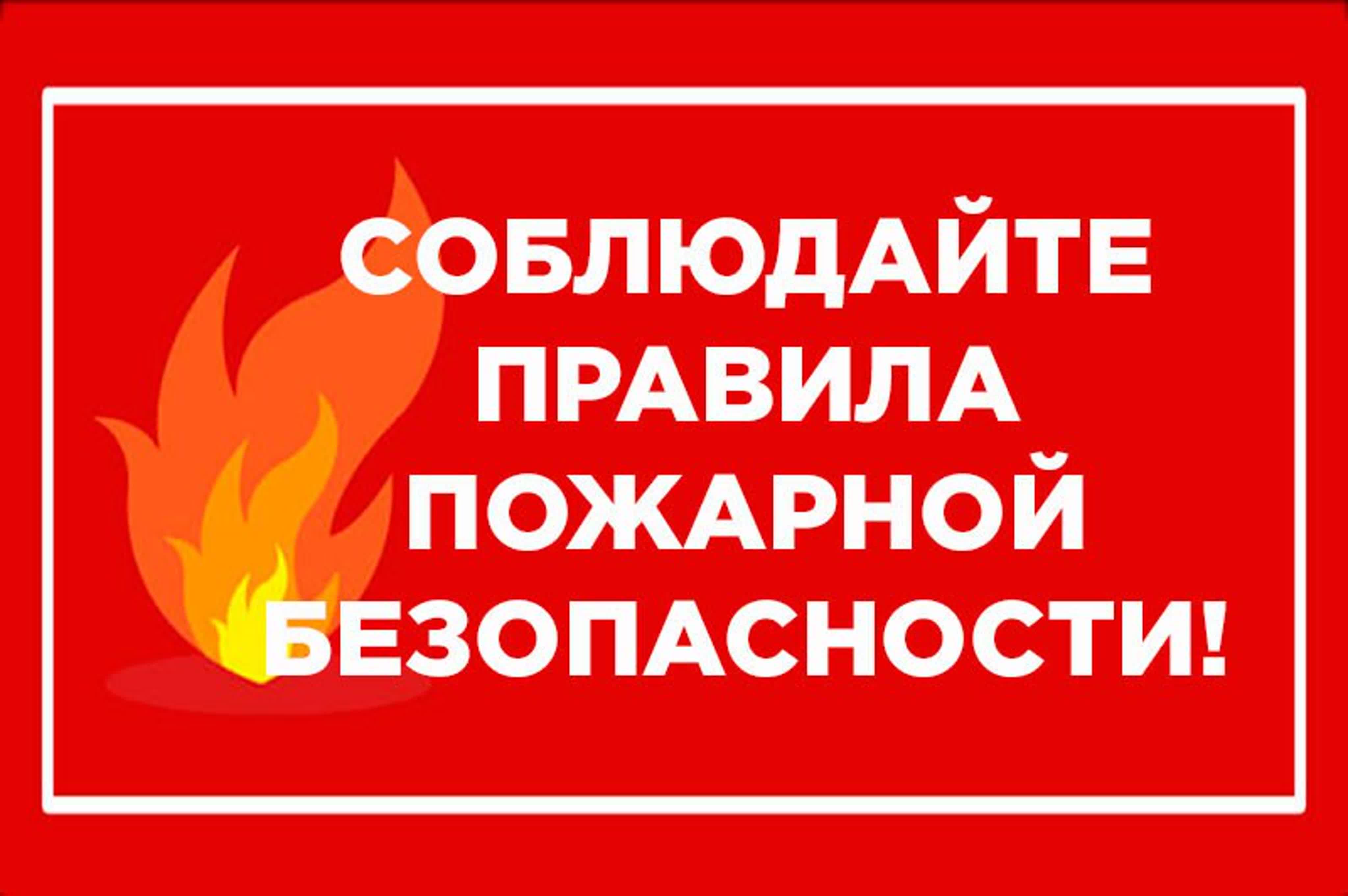 Ответственность за нарушение правил пожарной безопасности в лесах.